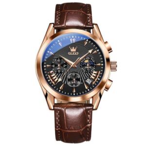 https://trendoclock.com/wp-content/uploads/2024/07/OLEVS-2876-Mens-Quartz-Watch-Black-brown.jpg