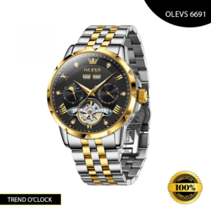 https://trendoclock.com/wp-content/uploads/2024/08/OLEVS-6691-Silver-gold-Color-Watch.png