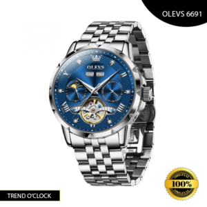 https://trendoclock.com/wp-content/uploads/2024/08/OLEVS-6691-Watch-Blue-color.png