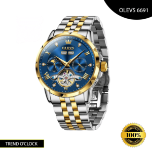 https://trendoclock.com/wp-content/uploads/2024/08/OLEVS-6691-Watch-Gold-Blue-color.png